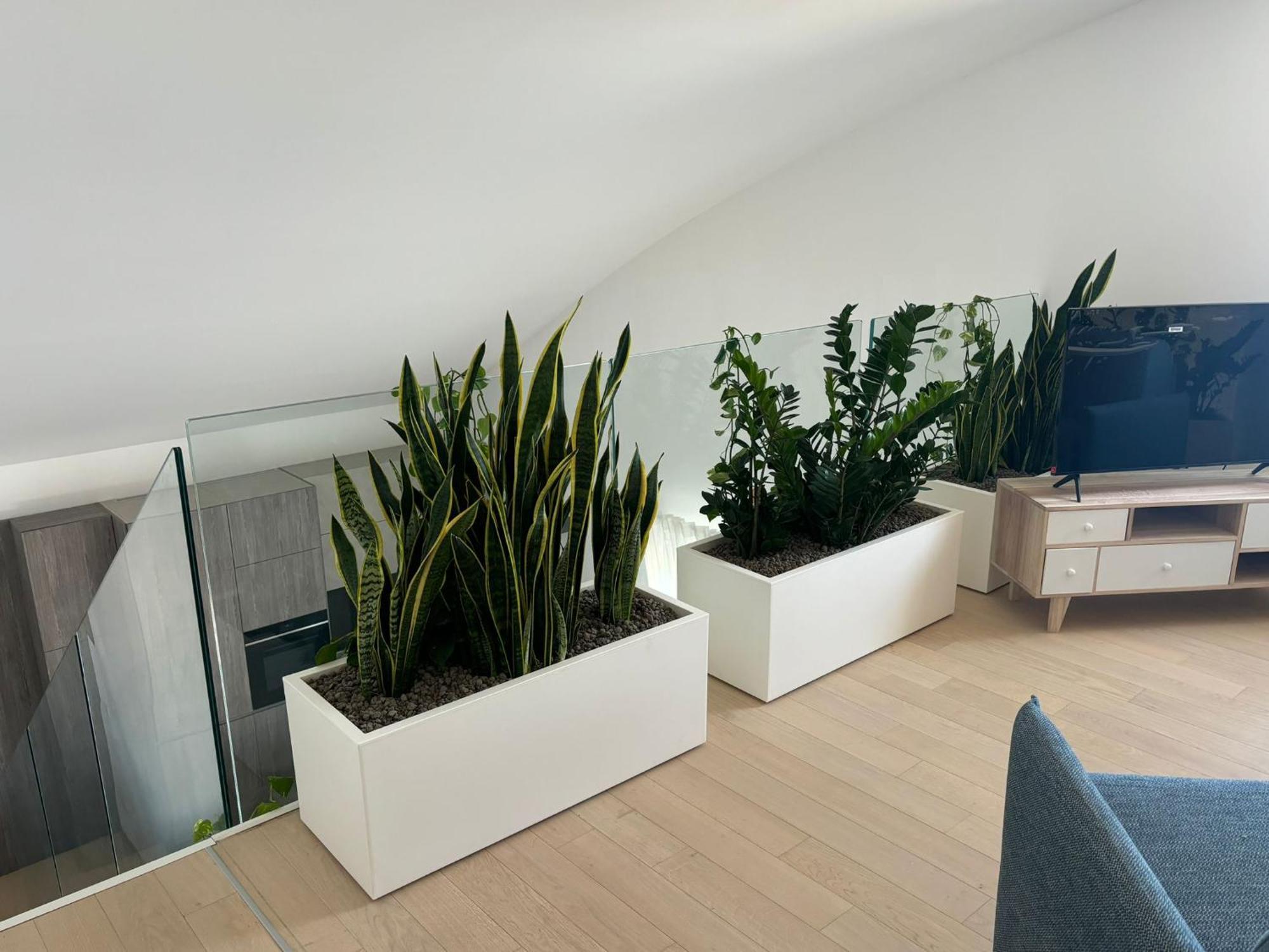 Luxury Terrazza